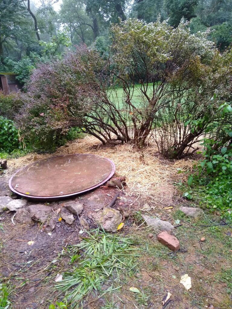 grinder-pump-rebulid-01-768×1024 grinder pump rebulid 01 768x1024 2