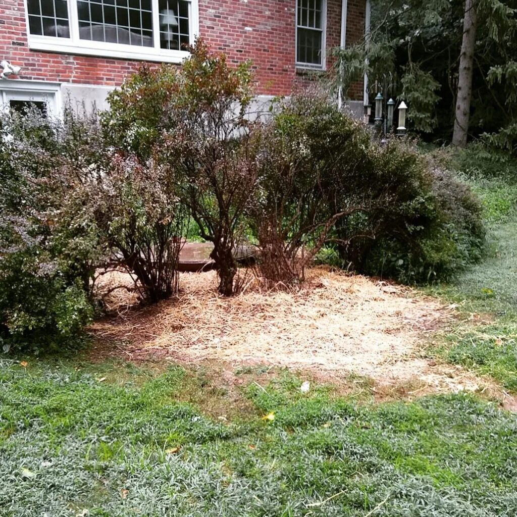 grinder-pump-rebulid-04-1024×1024 grinder pump rebulid 04 1024x1024 2